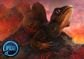 Fire Gecko © Opticale