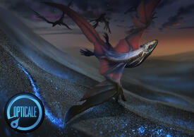 Jaculus © Opticale