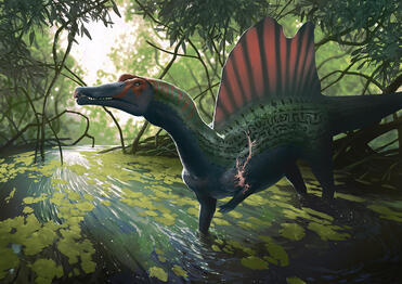 Spinosaurus © Kitt Lapeña