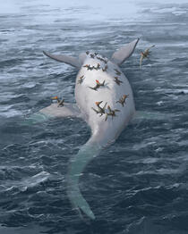Plesiosaur © Kitt Lapeña