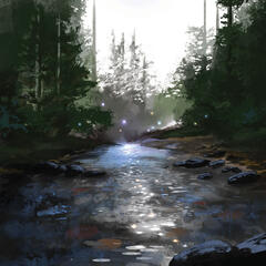 a rocky creek near pine trees